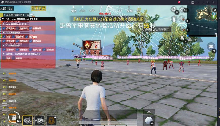 和平精英辅助【EAP+雷神】